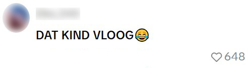 vader laat kind vliegen