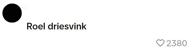 dries roelvink