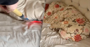 afbeelding bed slang