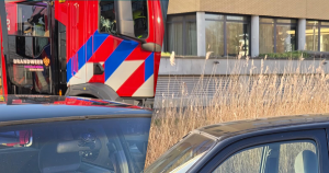 afbeelding hont