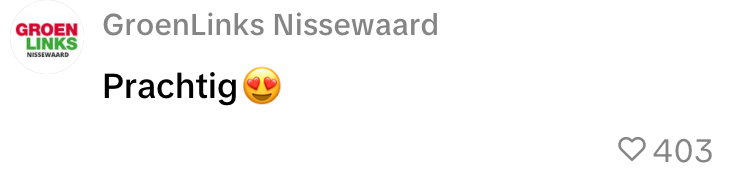 vvd gemeenteraadsverkiezingen camapgneposters