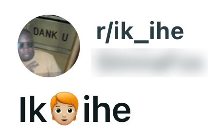 dirk van den broek review