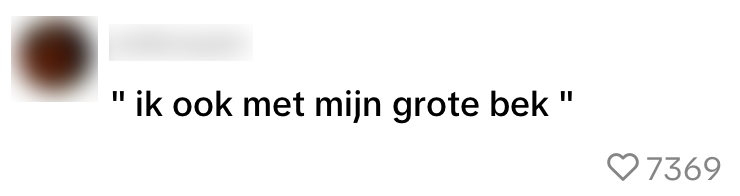 aanhanger snelweg