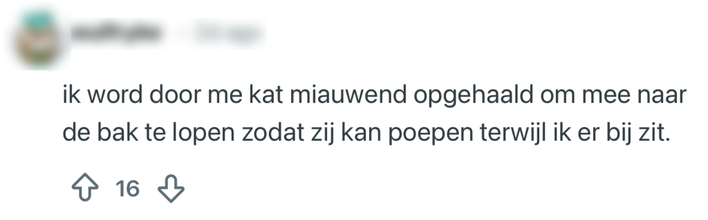 katten rituelen baasjes