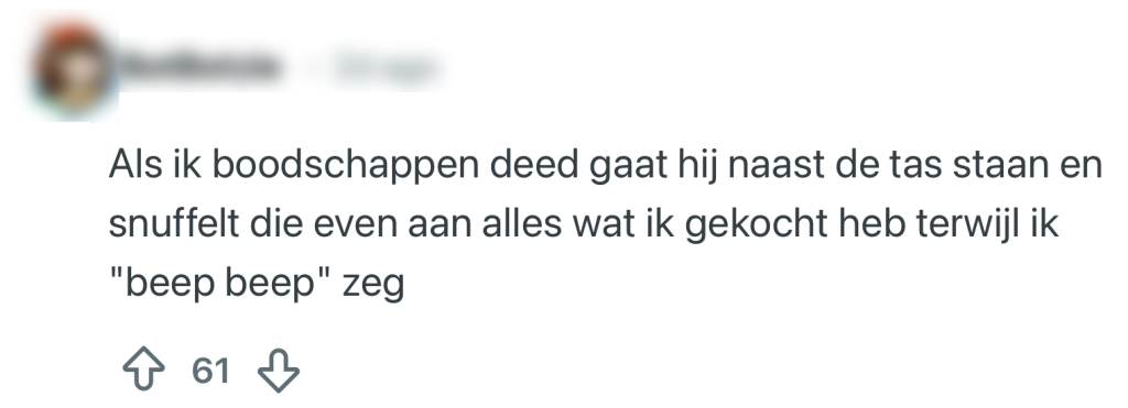 katten rituelen baasjes