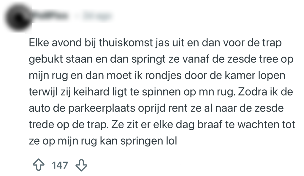 katten rituelen baasjes