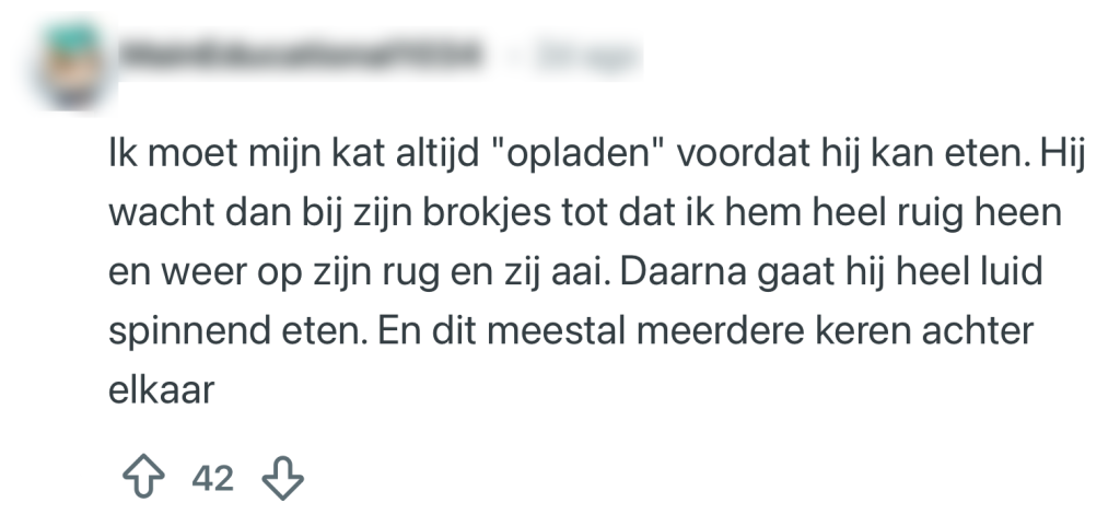 katten rituelen baasjes