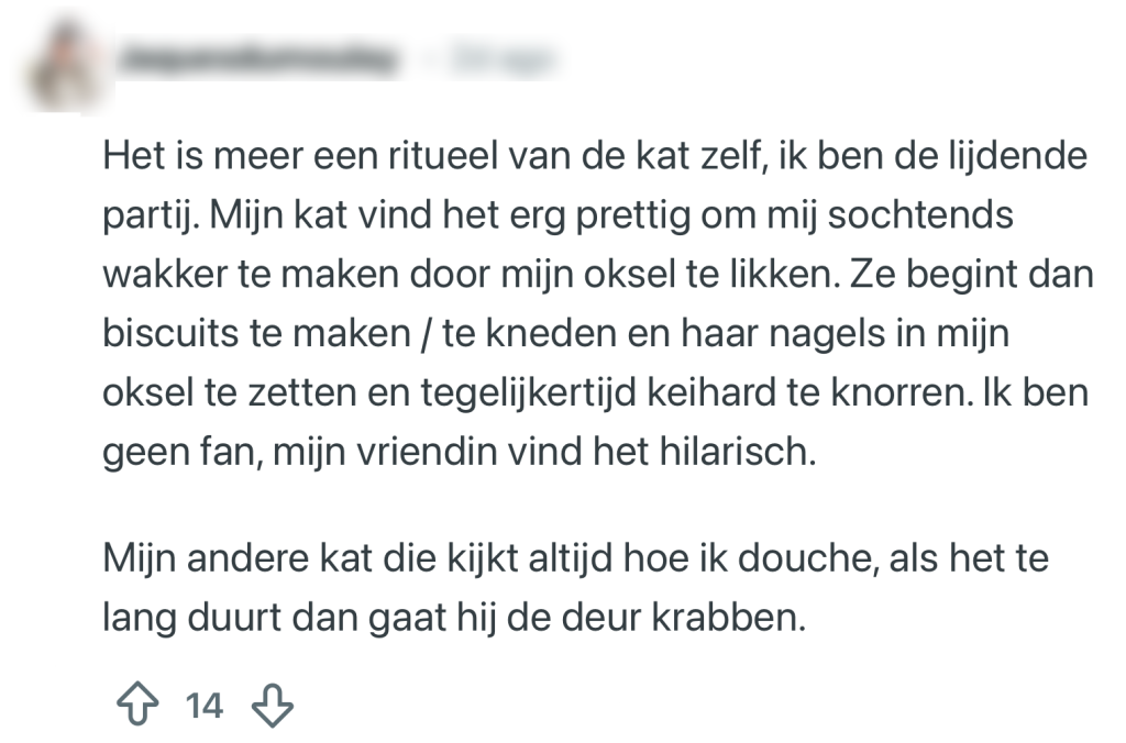 katten rituelen baasjes