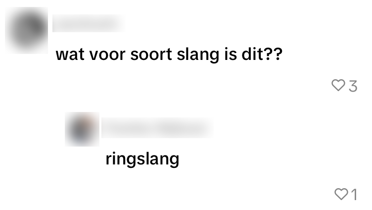dier bed slang bewoner