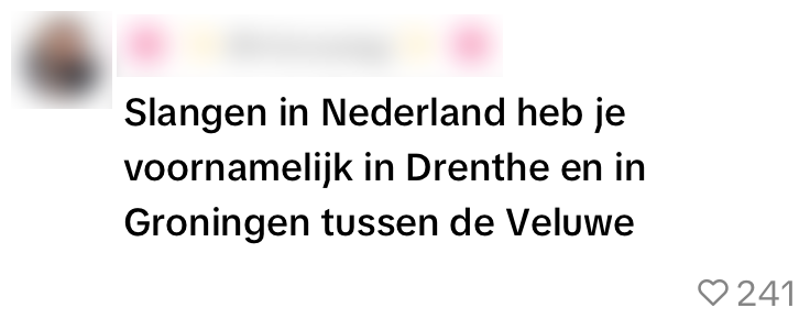 dier bed slang bewoner