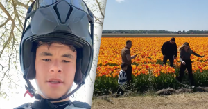 uitgelichte afbeelding - bloemen_