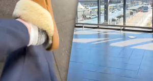 uitgelichte afbeelding vliegen