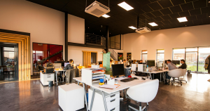 uitlichting, collega