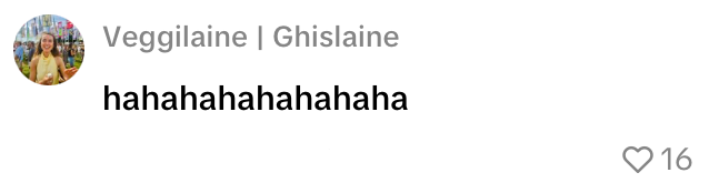 vliegtuig