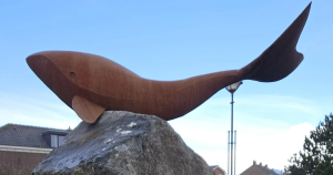 walvis foto