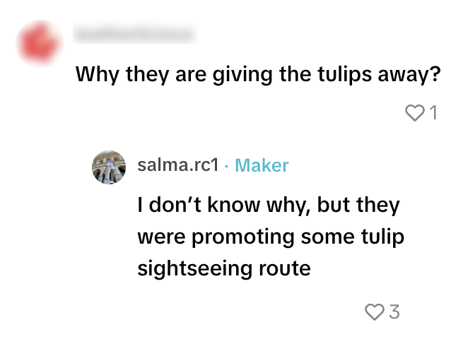 tulpen