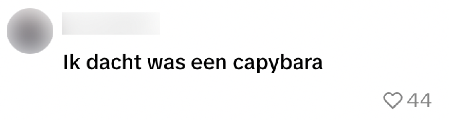 Diertje