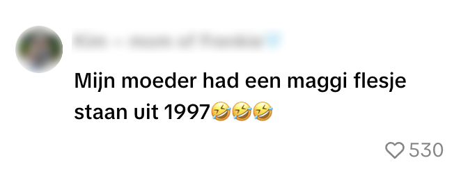 maggi flesje