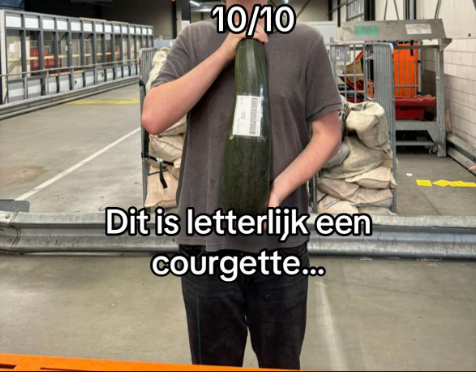 courgette