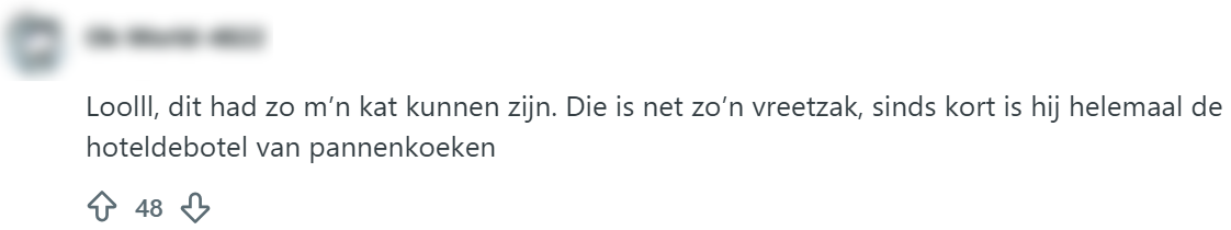 vreetzak kat