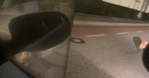 Uitgelichte afbeelding varkentje