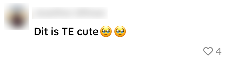 buschauffeur passagier 