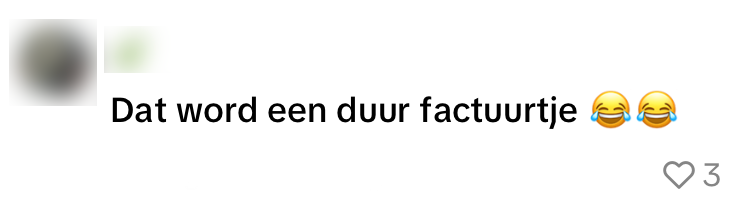 auto parkeren
