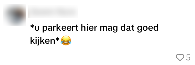 auto parkeren