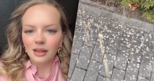 korstmos foto