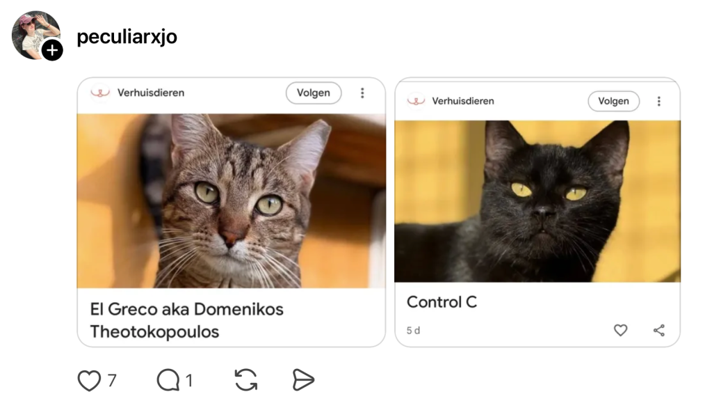 dierenbescherming