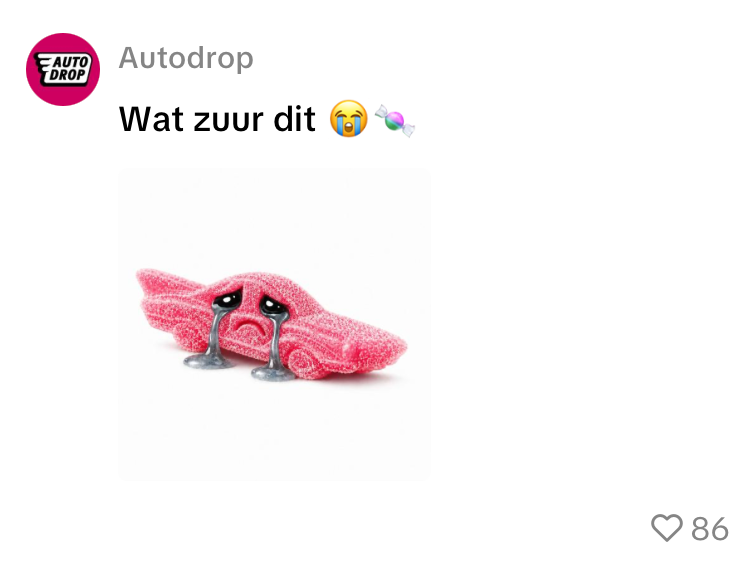schuurspons auto 