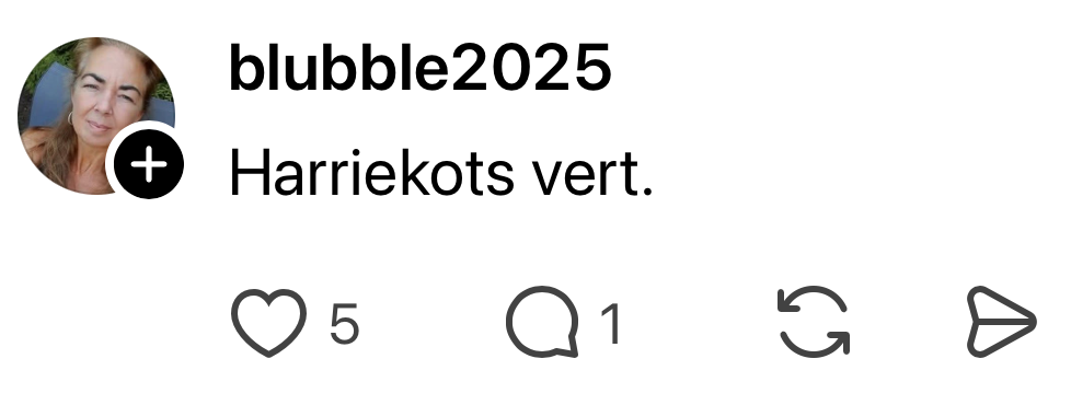 woorden nederlands