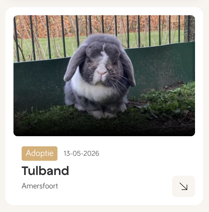 huisdieren