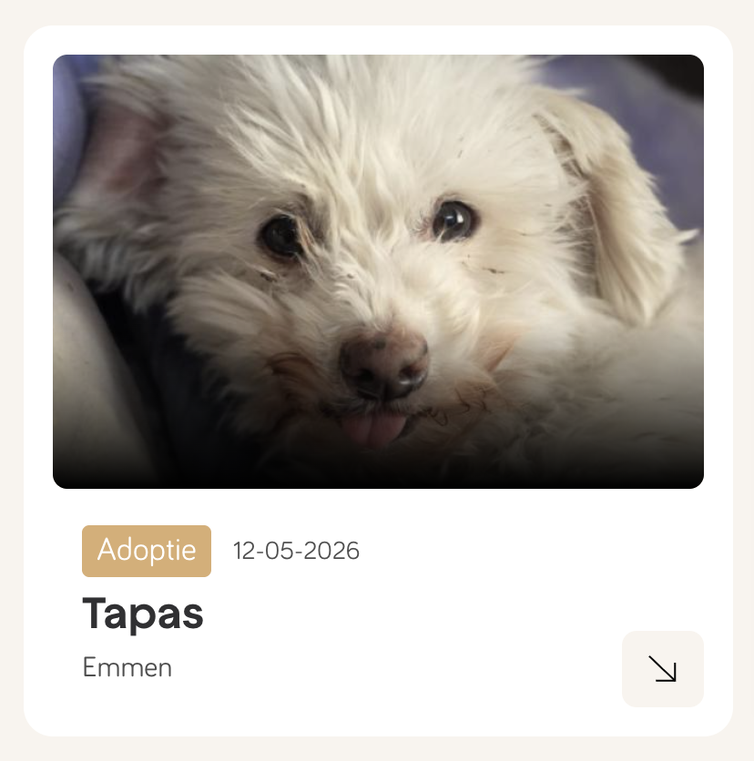 tapas
