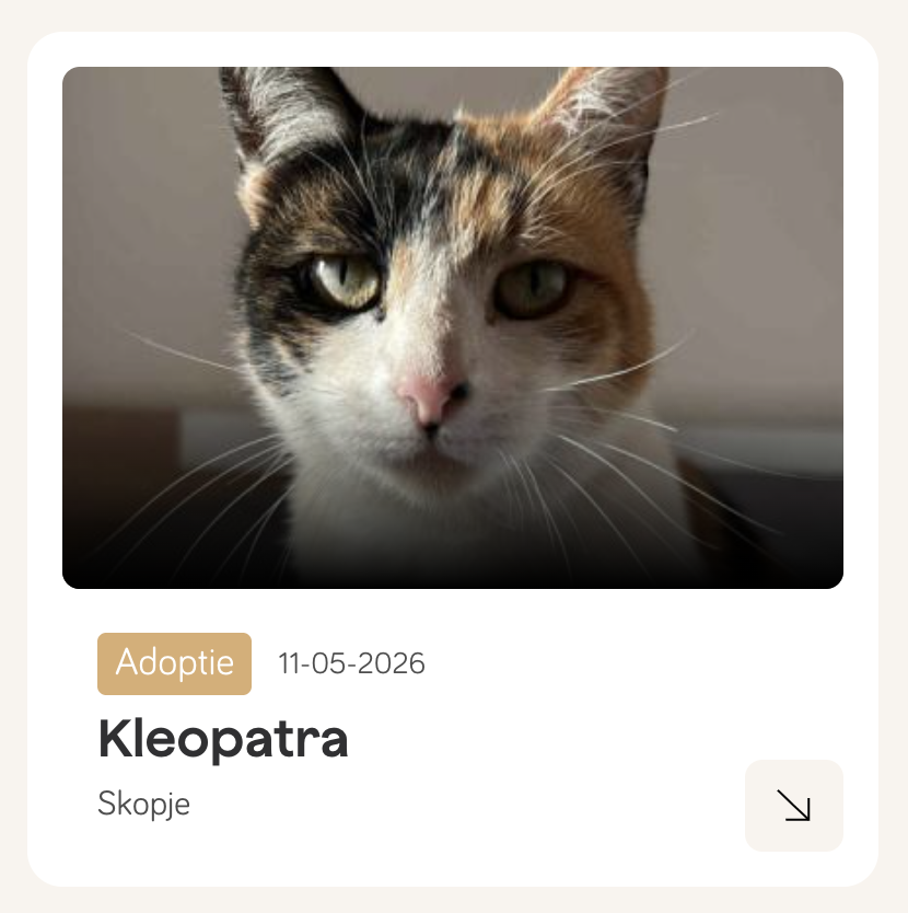 kleopatra