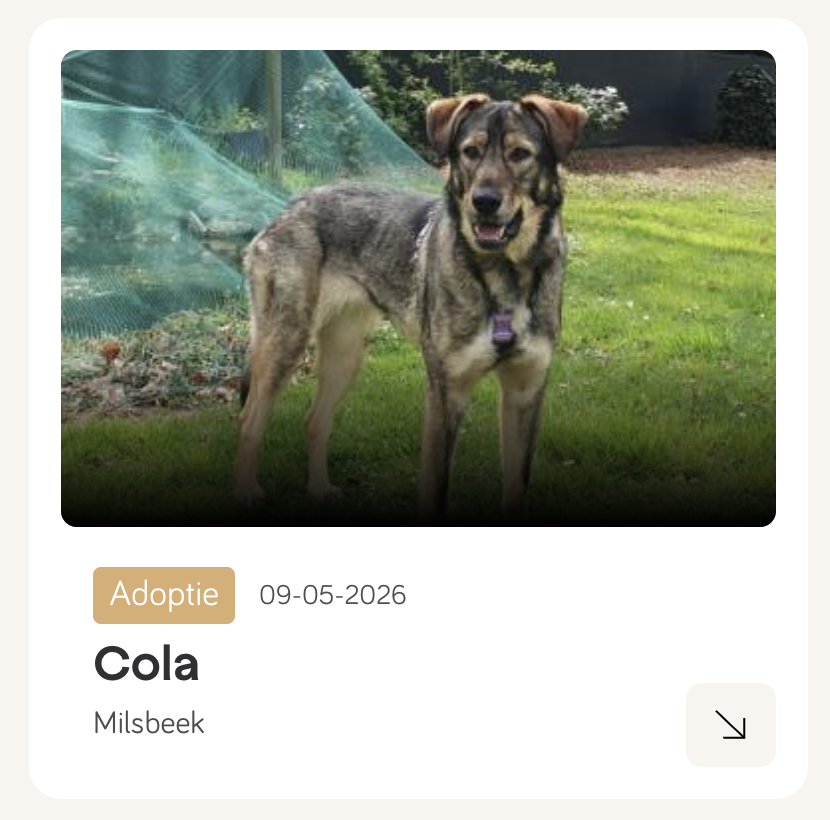 cola
