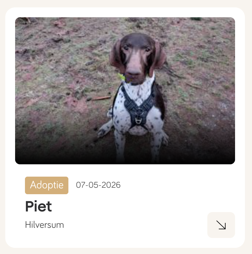 huisdieren