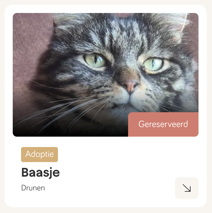 huisdieren