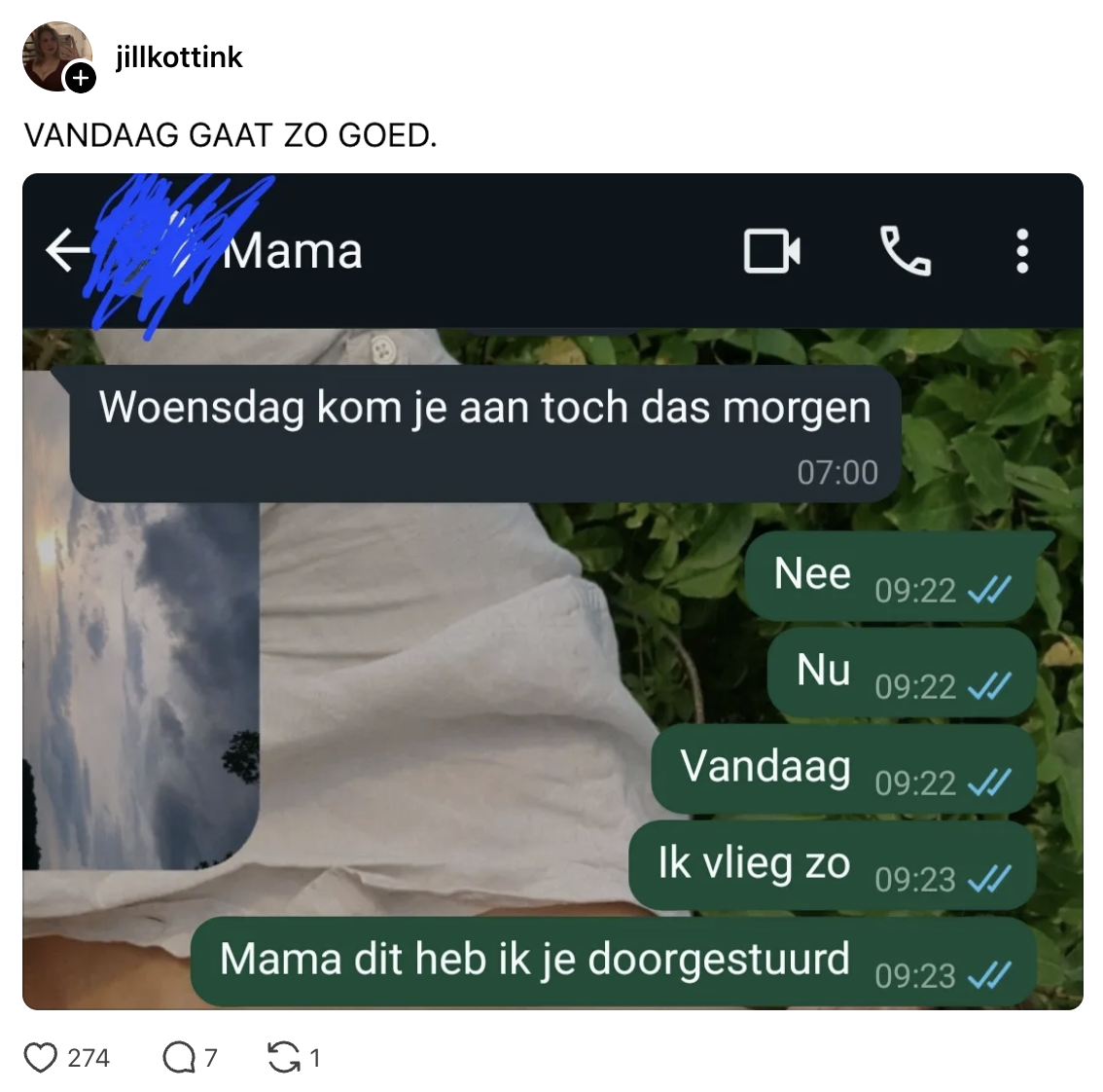 vliegen