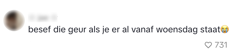 harry styles