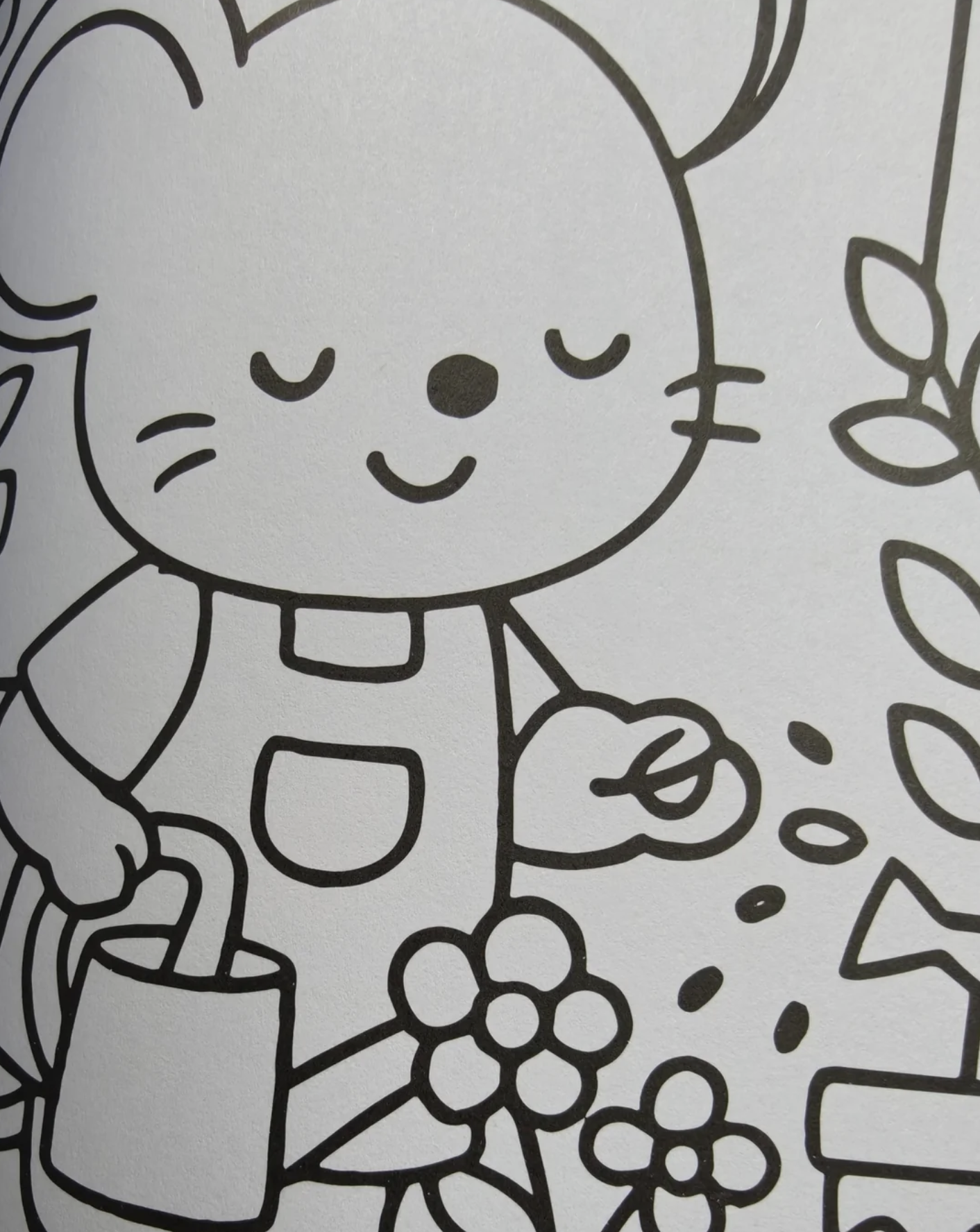 muis