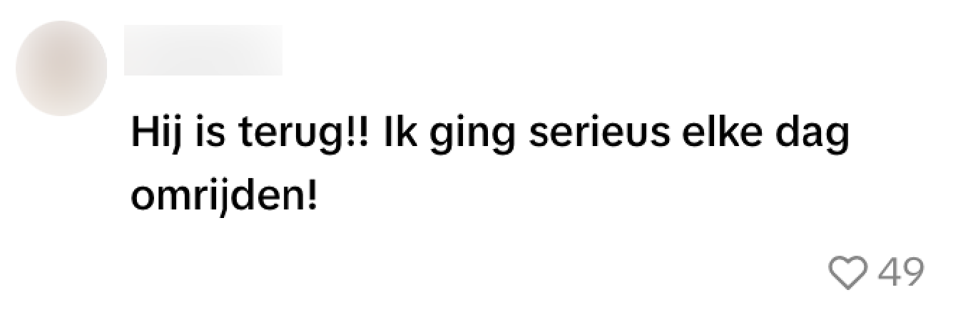 Verkeersregelaar