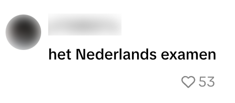 nederlands examen
