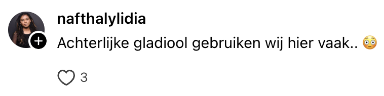 unieke scheldwoorden