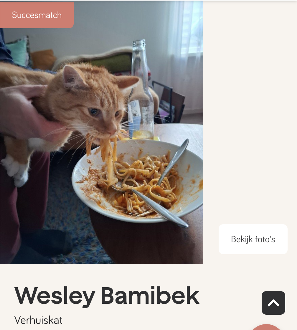 bami
