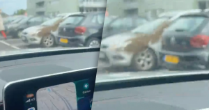 Uitgelichte afbeelding - bij auto