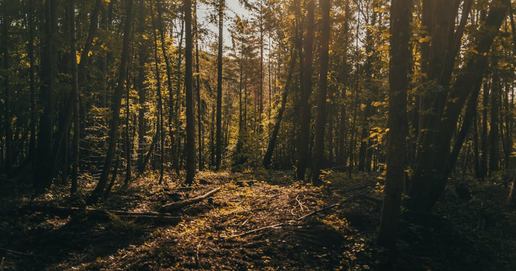 droombanen