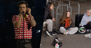 harry styles zonder