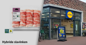 slavink foto