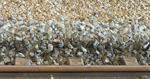 spoor